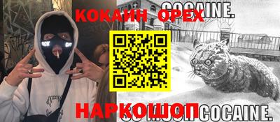 стаф Брянск