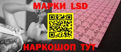 стаф Брянск
