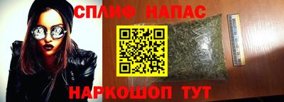 стаф Брянск